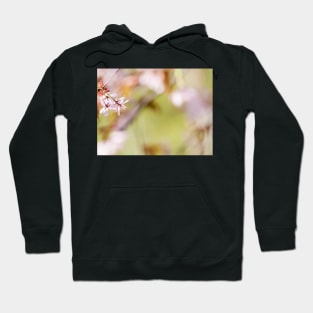 Cherry Blossom Hoodie